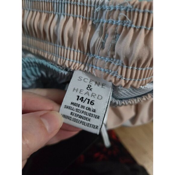 Scene & Heard Boys Swim Trunks Size 14/16 Pool Beach Vacation Landscape Colorful - Picture 5 of 9